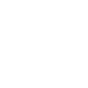 rp-logo wit rp-logo wit